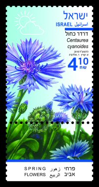 Stamp:Centaurea cyanoides (Spring Flowers), designer:Tuvia Kurtz, Ronen Goldberg 04/2018